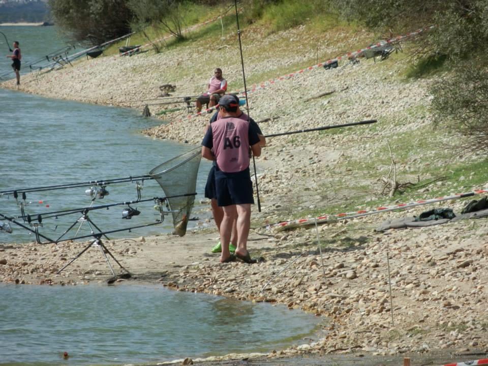 CM Portugalia - 2013 (5) - 1256522567885626613855237343839n.jpg